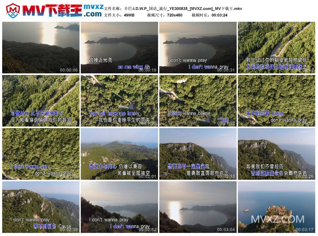 辛巴-I.D.W.P_国语_流行_YE300835